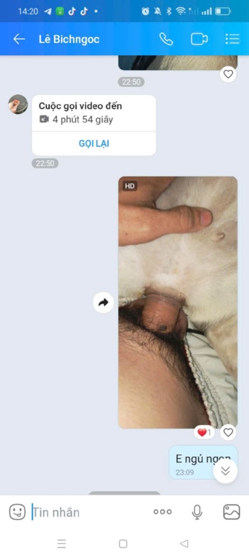 4eadd6c3730cda137d5962aeff15b445.jpg