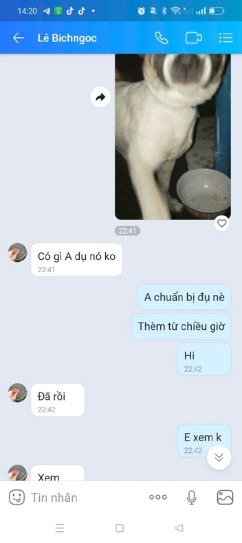 fb0ecf7bfb8aedf3a09ad3a629cdccde.jpg