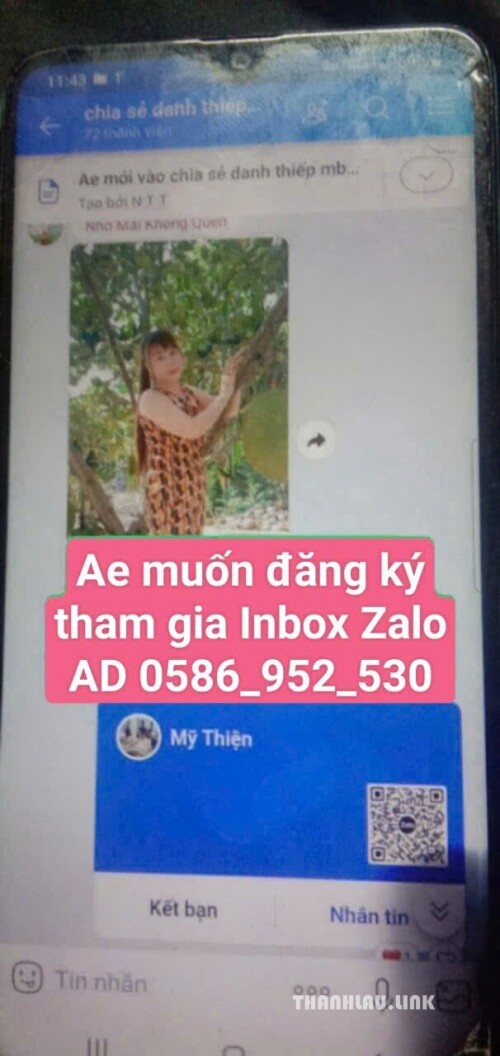 bb914a3a0b185302a5a4a44df76f1b09.jpg